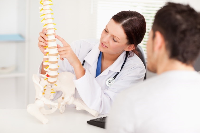 doctor showing spine model to patient